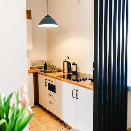 Vilao Apartments- Lazarza Krakow